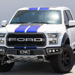 Raptor