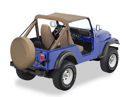 Traditional Bikini CJ5